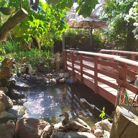 Lotus Turtle Garden Eilat Exterior foto