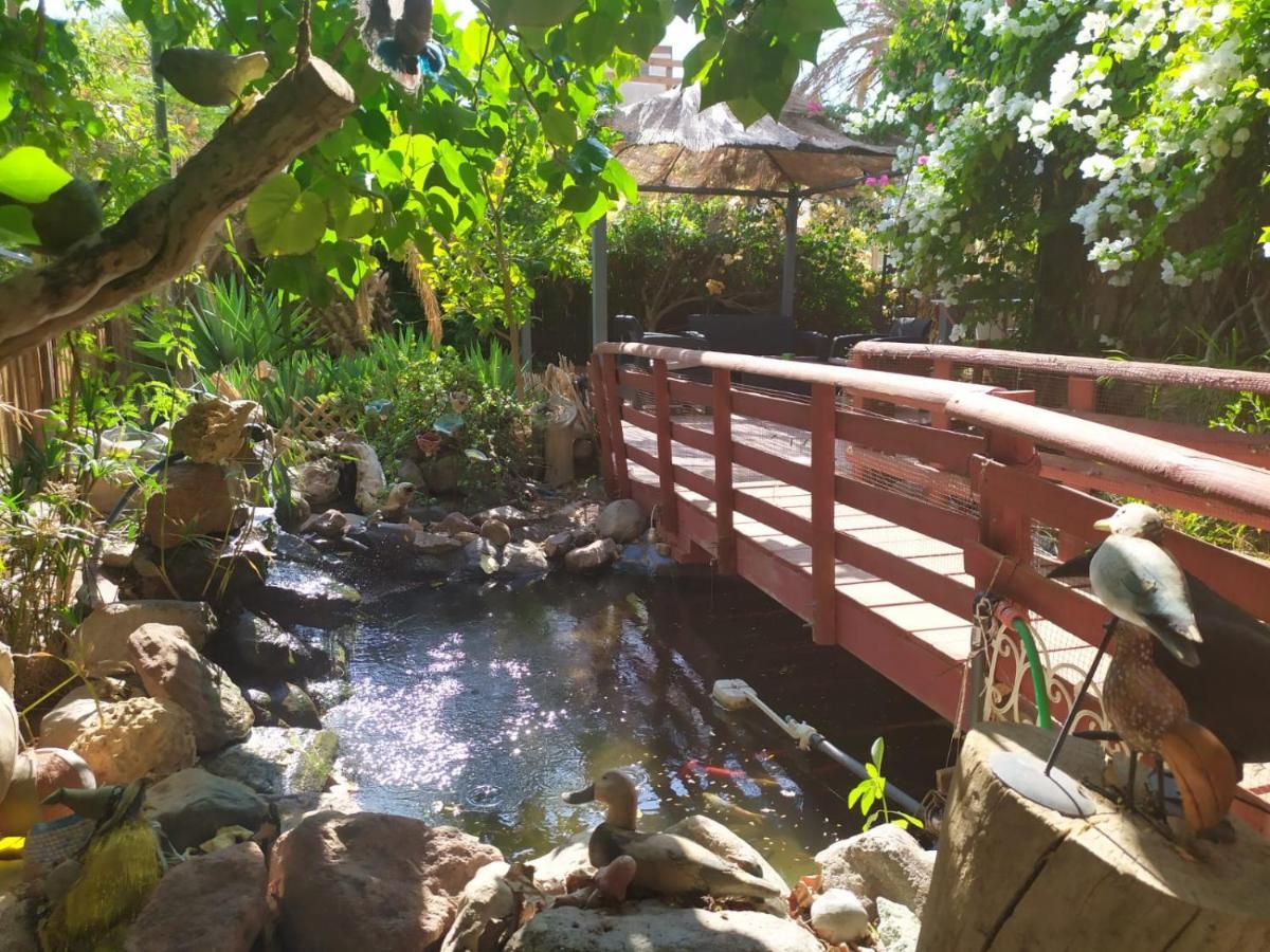 Lotus Turtle Garden Eilat Exterior foto