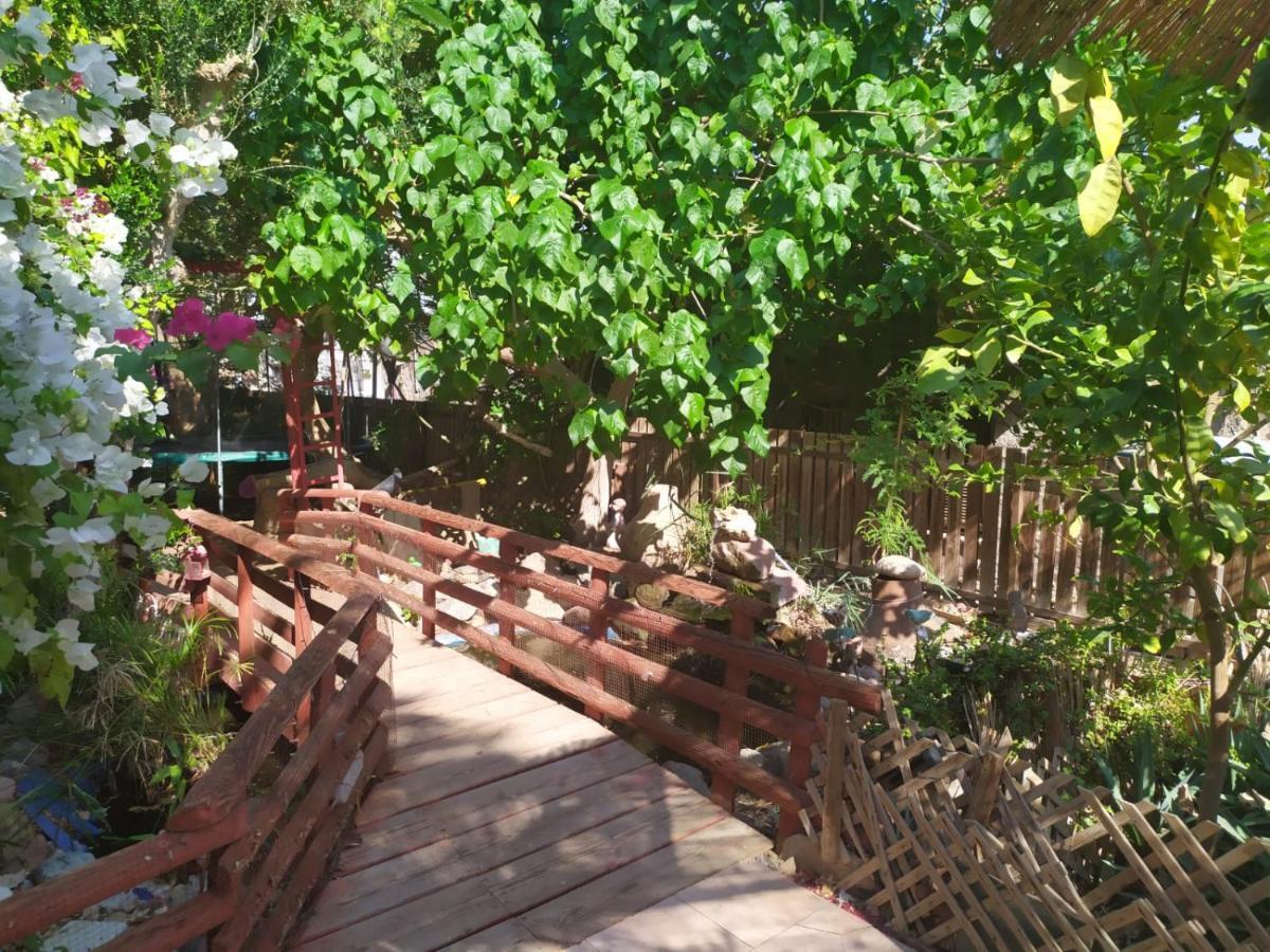 Lotus Turtle Garden Eilat Exterior foto