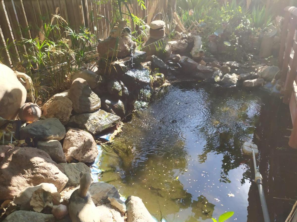 Lotus Turtle Garden Eilat Exterior foto