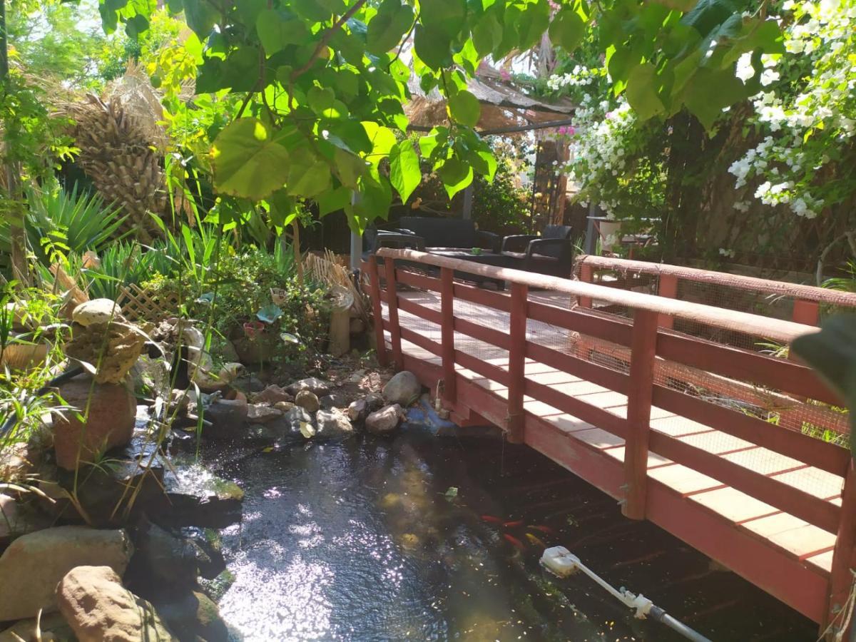 Lotus Turtle Garden Eilat Exterior foto